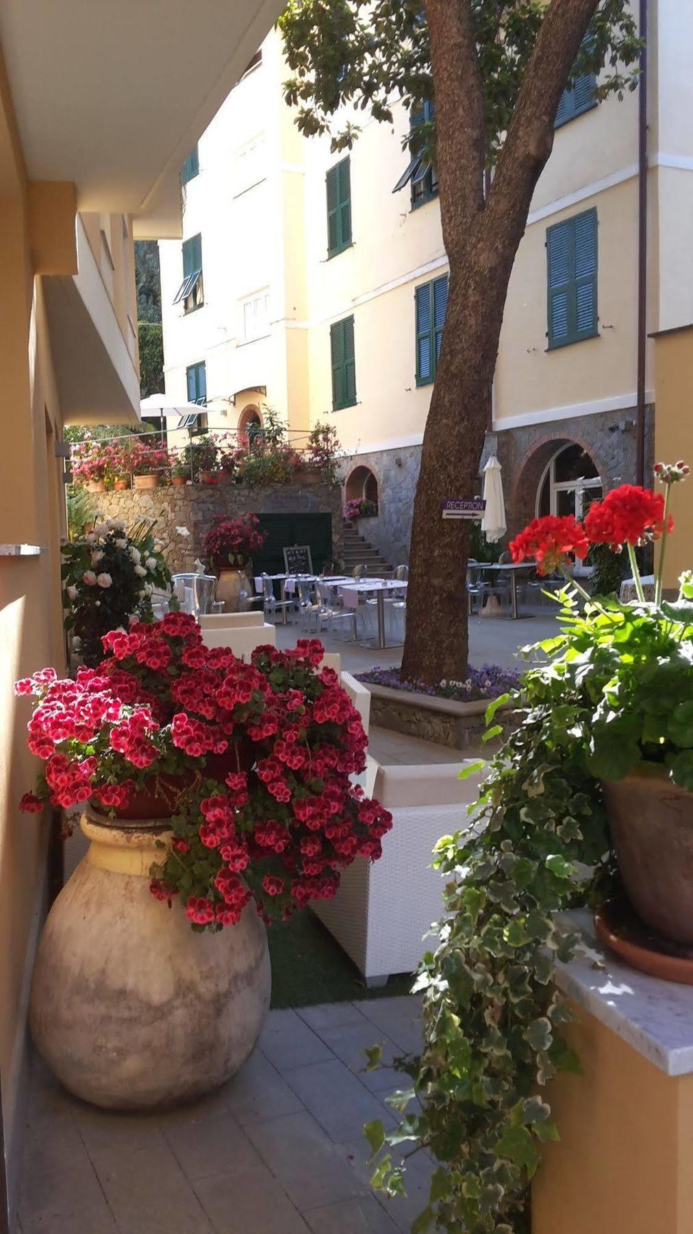 Hotel Souvenir Monterosso al Mare Dış mekan fotoğraf